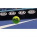 AO Tennis 2 (PS4), 1142723,